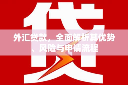 遂川外汇贷款，全面解析其优势、风险与申请流程