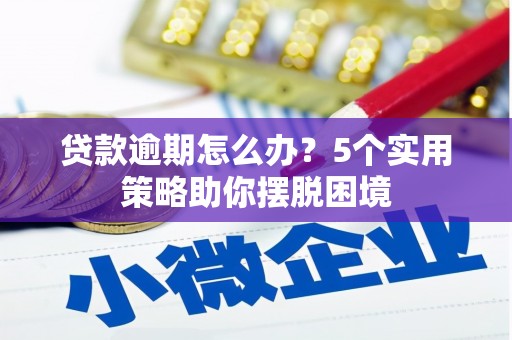 遂川贷款逾期怎么办？5个实用策略助你摆脱困境