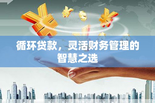 遂川循环贷款，灵活财务管理的智慧之选