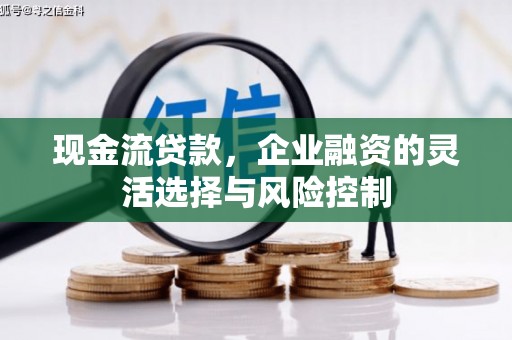 遂川现金流贷款，企业融资的灵活选择与风险控制