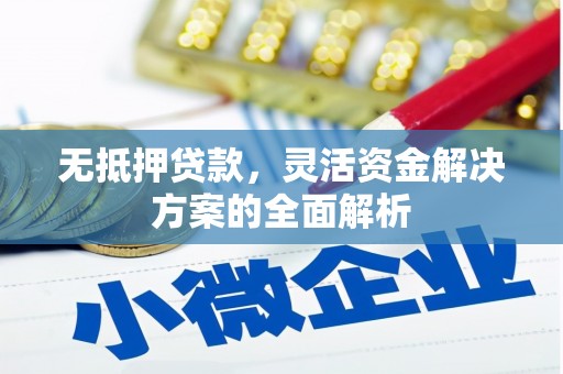 遂川无抵押贷款，灵活资金解决方案的全面解析