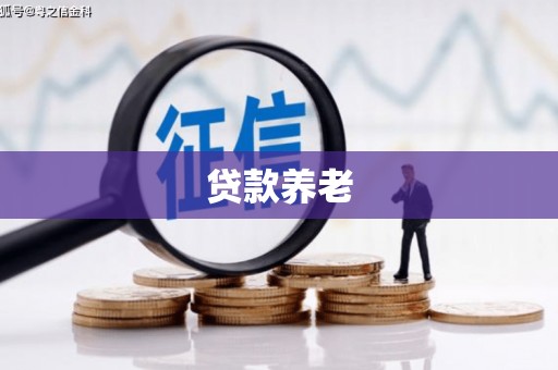 遂川贷款养老