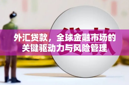 遂川外汇贷款，全球金融市场的关键驱动力与风险管理
