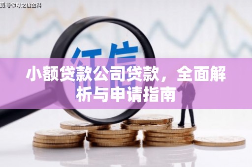 遂川小额贷款公司贷款，全面解析与申请指南