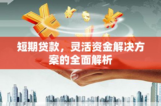 遂川短期贷款，灵活资金解决方案的全面解析