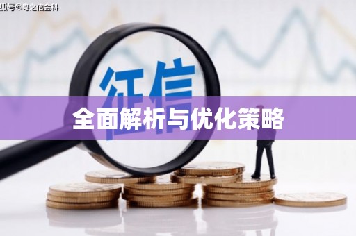 遂川全面解析与优化策略