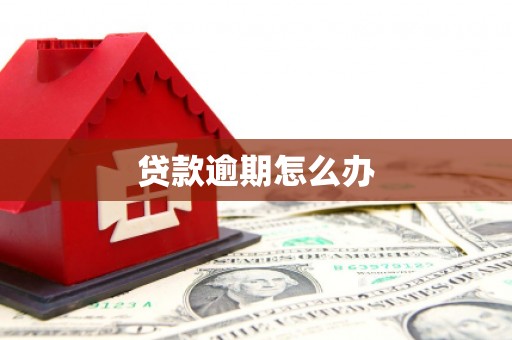 遂川贷款逾期怎么办