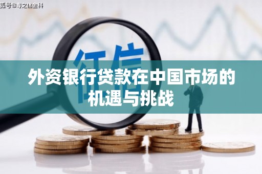 遂川外资银行贷款在中国市场的机遇与挑战