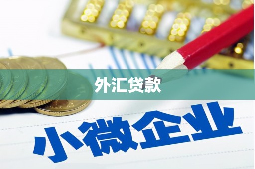 遂川外汇贷款