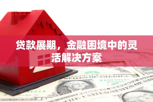 遂川贷款展期，金融困境中的灵活解决方案