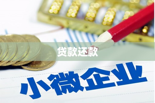 遂川贷款还款