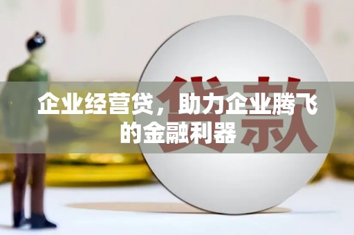 遂川企业经营贷，助力企业腾飞的金融利器