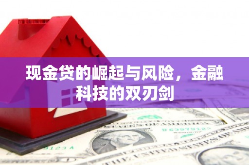遂川现金贷的崛起与风险，金融科技的双刃剑
