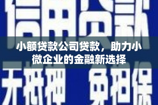 遂川小额贷款公司贷款，助力小微企业的金融新选择