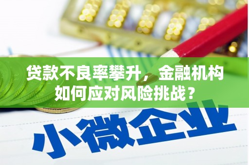 遂川贷款不良率攀升，金融机构如何应对风险挑战？