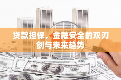 遂川贷款担保，金融安全的双刃剑与未来趋势
