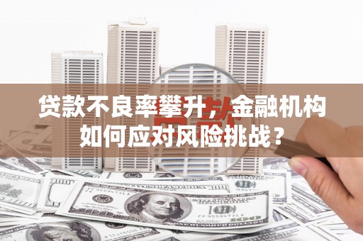 遂川贷款不良率攀升，金融机构如何应对风险挑战？