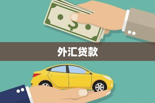 遂川外汇贷款