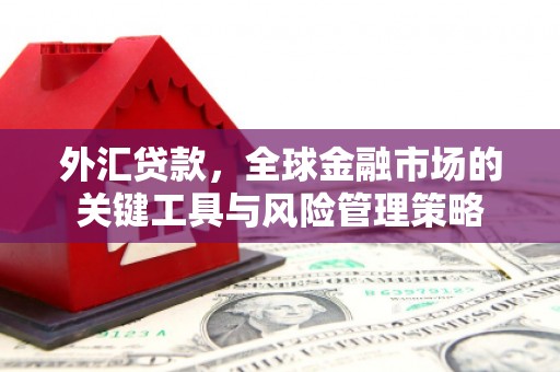 遂川外汇贷款，全球金融市场的关键工具与风险管理策略