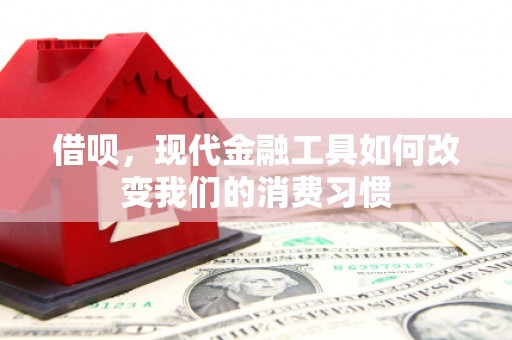 遂川借呗，现代金融工具如何改变我们的消费习惯