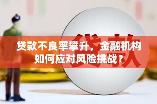 遂川贷款不良率攀升，金融机构如何应对风险挑战？