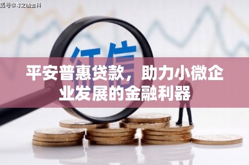 遂川平安普惠贷款，助力小微企业发展的金融利器