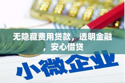 遂川无隐藏费用贷款，透明金融，安心借贷