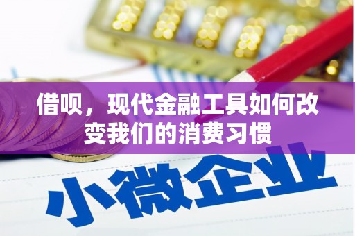 遂川借呗，现代金融工具如何改变我们的消费习惯