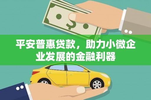 遂川平安普惠贷款，助力小微企业发展的金融利器