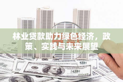 遂川林业贷款助力绿色经济，政策、实践与未来展望