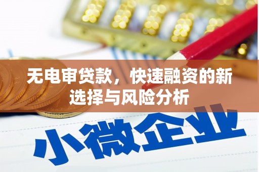 遂川无电审贷款，快速融资的新选择与风险分析
