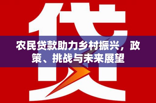 遂川农民贷款助力乡村振兴，政策、挑战与未来展望
