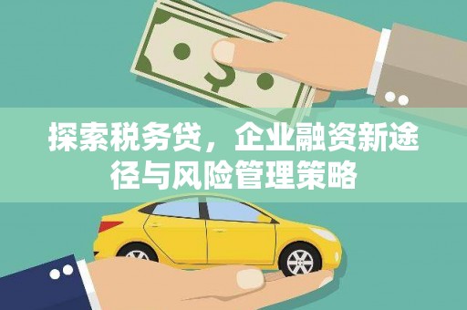 遂川探索税务贷，企业融资新途径与风险管理策略