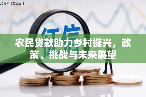 遂川农民贷款助力乡村振兴，政策、挑战与未来展望