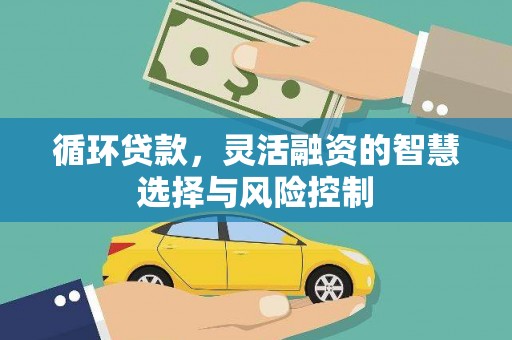 遂川循环贷款，灵活融资的智慧选择与风险控制