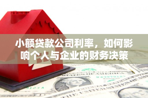 遂川小额贷款公司利率，如何影响个人与企业的财务决策