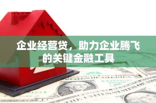 遂川企业经营贷，助力企业腾飞的关键金融工具