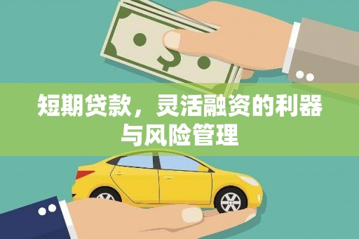 遂川短期贷款，灵活融资的利器与风险管理