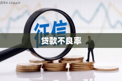 遂川贷款不良率