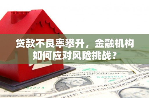 遂川贷款不良率攀升，金融机构如何应对风险挑战？