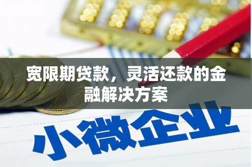 遂川宽限期贷款，灵活还款的金融解决方案
