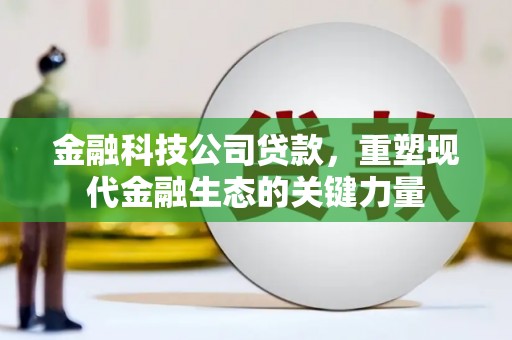 遂川金融科技公司贷款，重塑现代金融生态的关键力量