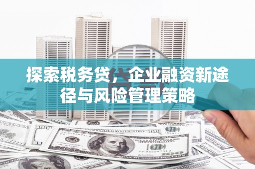遂川探索税务贷，企业融资新途径与风险管理策略