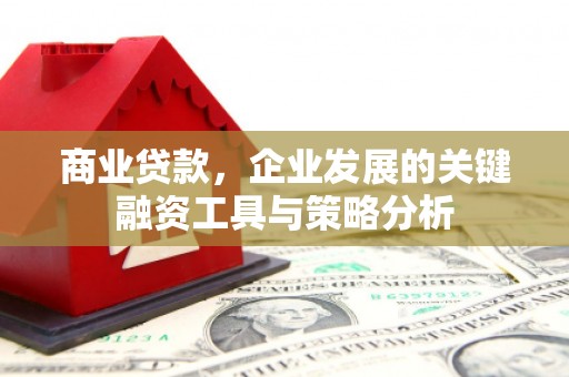 遂川商业贷款，企业发展的关键融资工具与策略分析