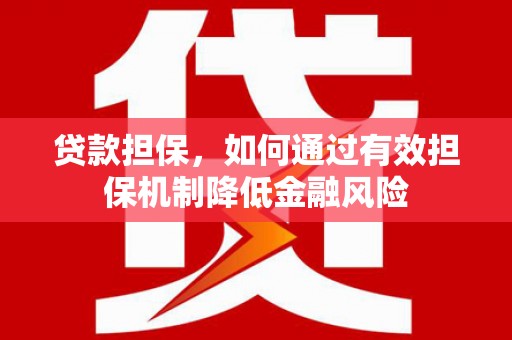 遂川贷款担保，如何通过有效担保机制降低金融风险