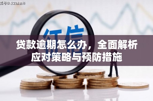 遂川贷款逾期怎么办，全面解析应对策略与预防措施