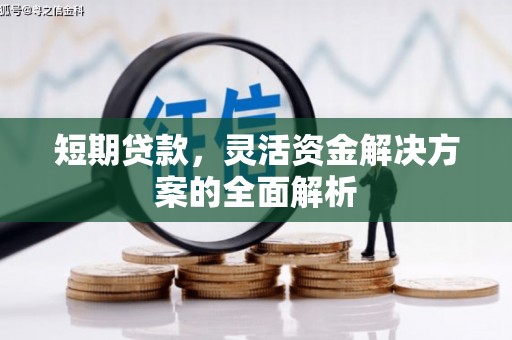 遂川短期贷款，灵活资金解决方案的全面解析