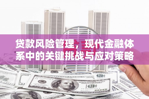 遂川贷款风险管理，现代金融体系中的关键挑战与应对策略