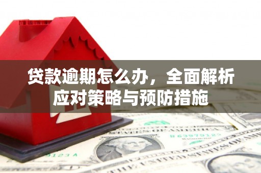 遂川贷款逾期怎么办，全面解析应对策略与预防措施