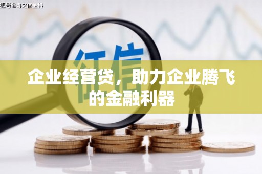 遂川企业经营贷，助力企业腾飞的金融利器